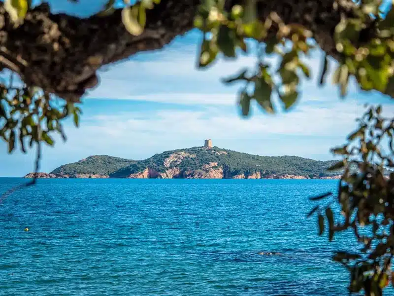 Passer des moments mémorables en Corse les activités à faire